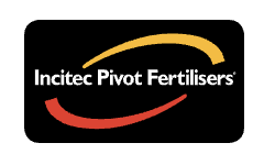 Incitect Pivot